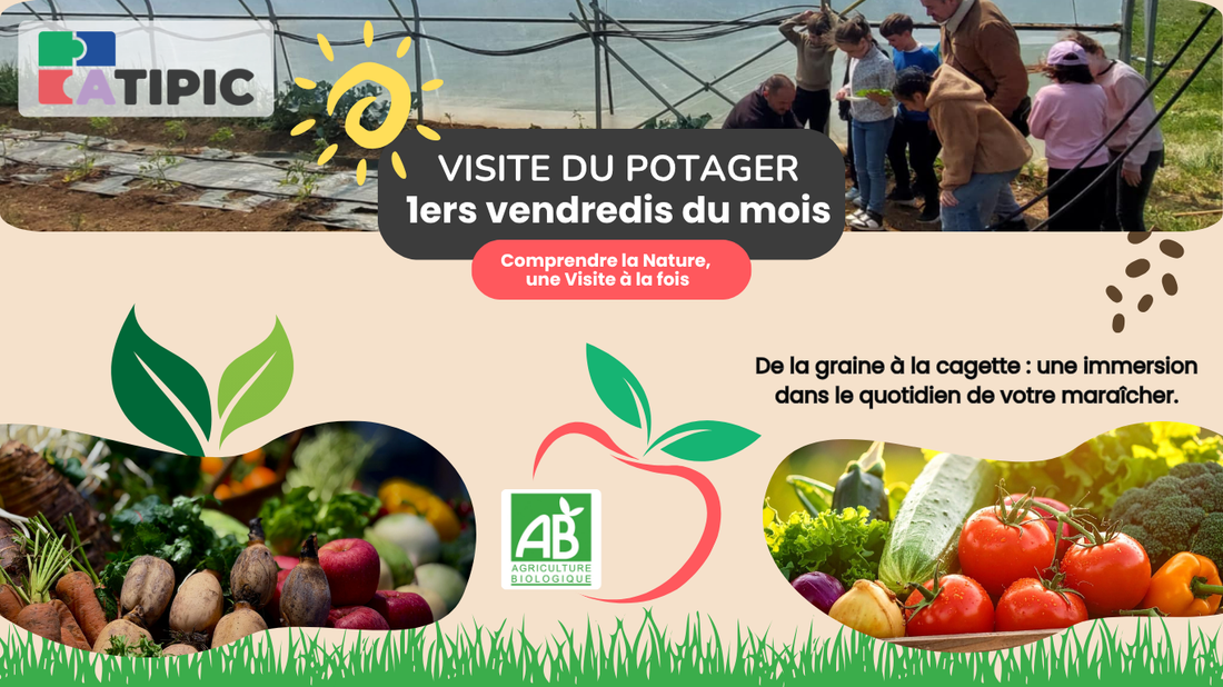 Visite du potager à Colombelles | Tous les 1er vendredis du mois