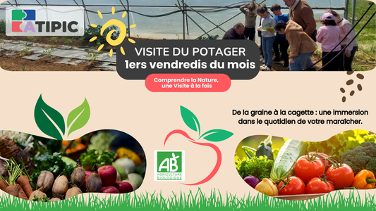 Visite du potager à Colombelles | Tous les 1er vendredis du mois