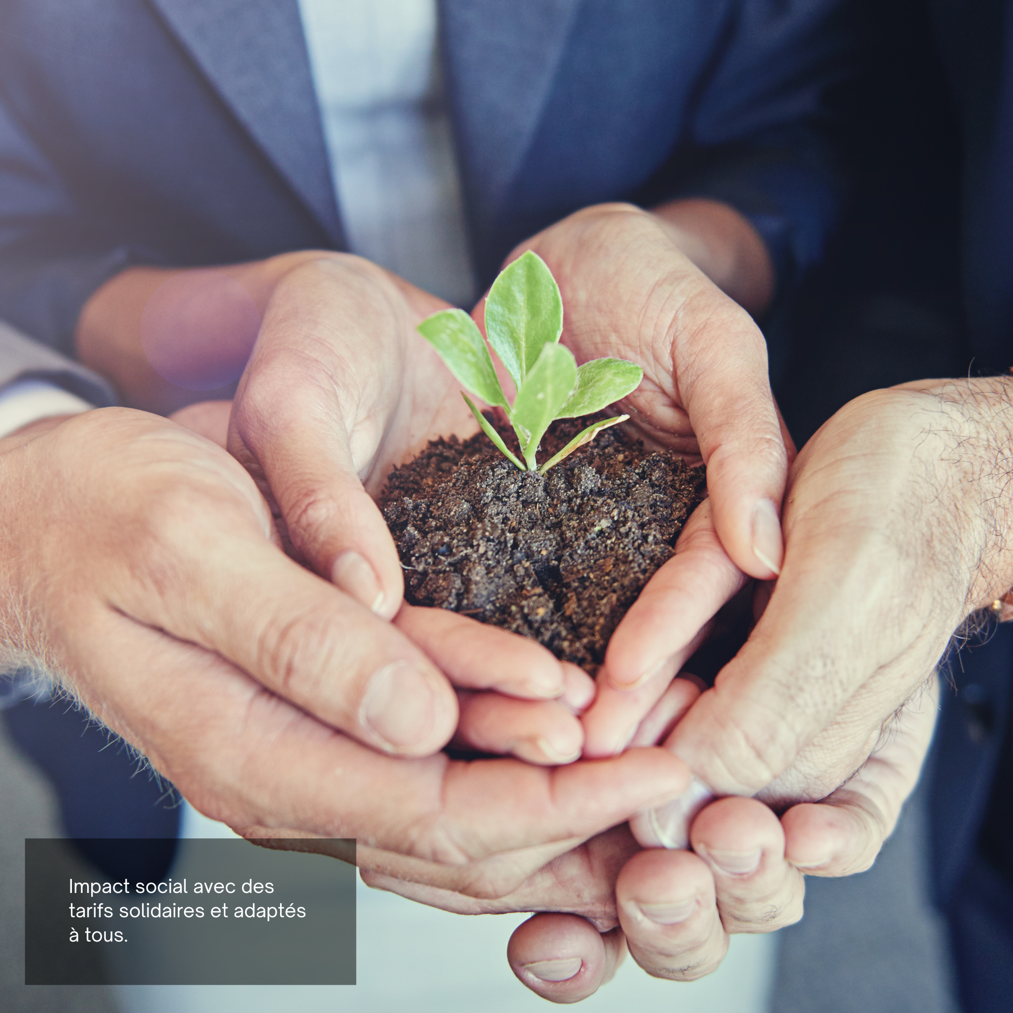des mains qui se rejoignent en portant une pousse de plante directement dans les mains pour le travailler ensemble