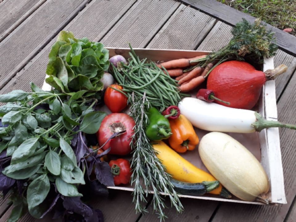 Panier de légumes bio et locaux à Colombelles.