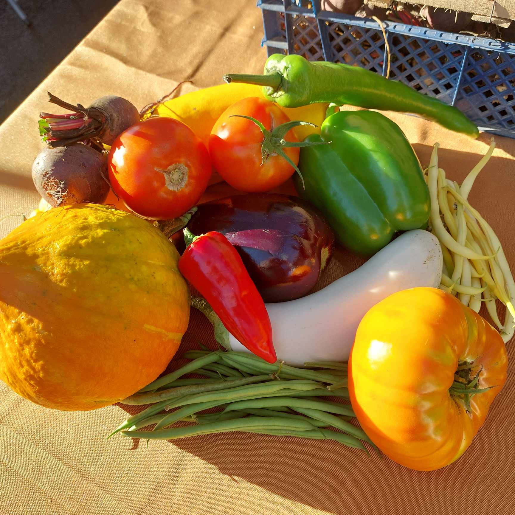 légumes bio du Potager d'Annie 
